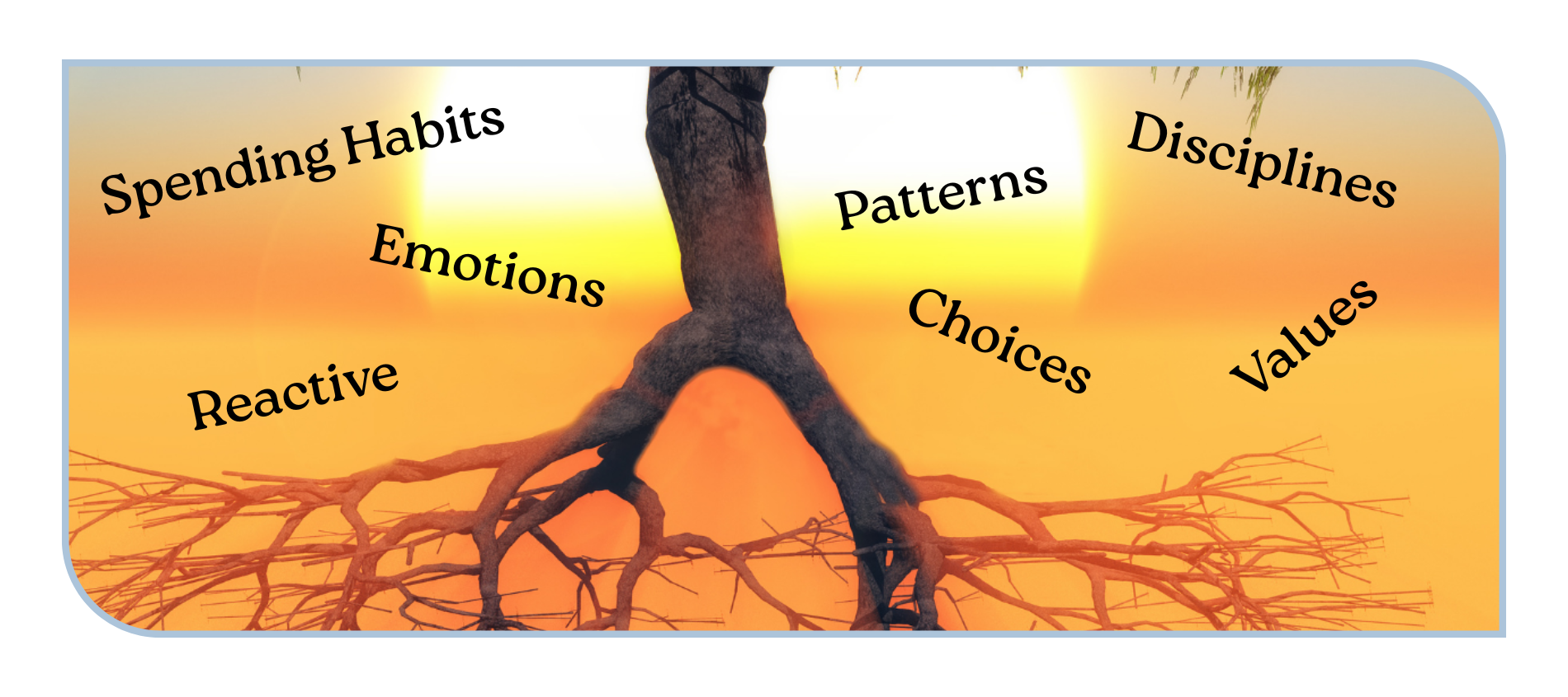 Root Drivers